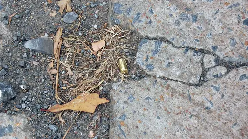 Casting Crime 360 S02E03 Disparition