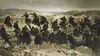 Crimée 1855, le spectacle de la guerre