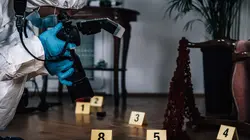 Crimes