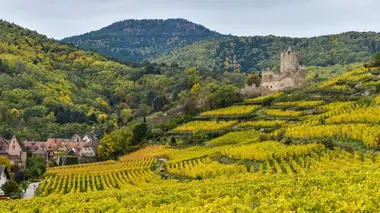 Terreur dans le Haut-Rhin