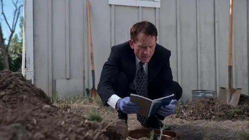 Crimes à la une Disparition à Springfield