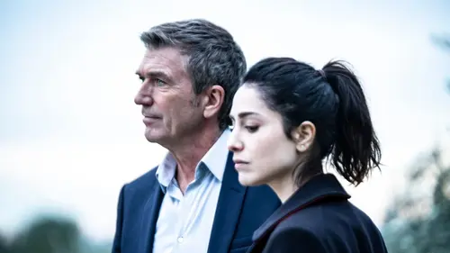 Crimes parfaits en streaming