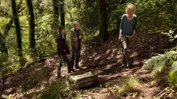 Crimes parfaits S03E10 Sur un arbre perché