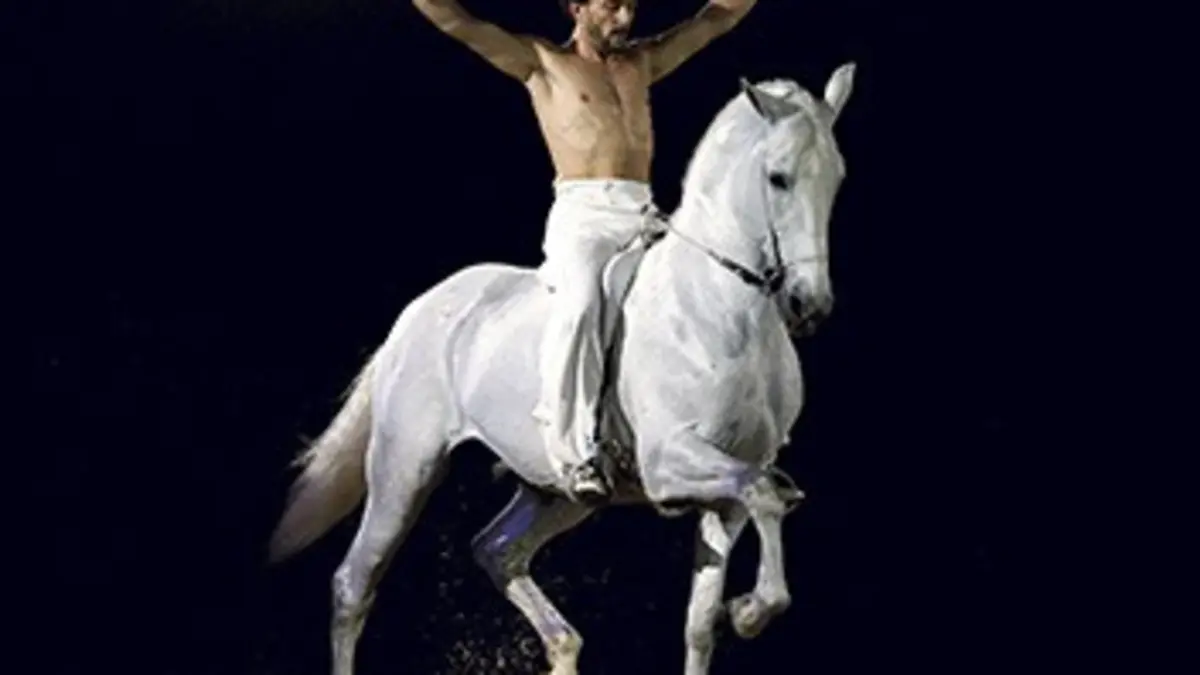 Crinières d'Or 2015