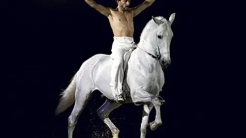 Crinières d'Or 2015