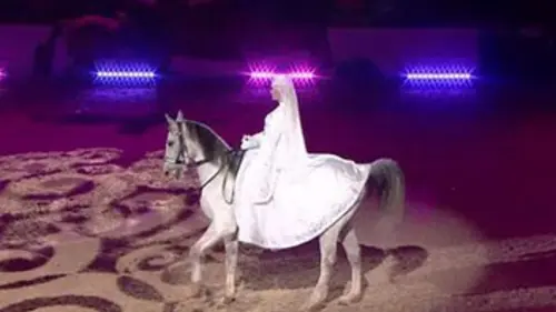 Crinières d'Or 2016