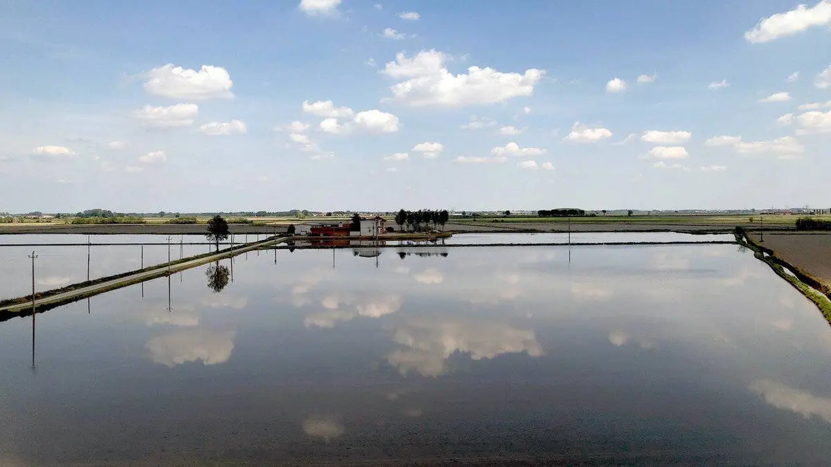 Crise de l'eau : La gestion du lac Majeur