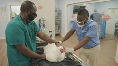 Lapin de compétition