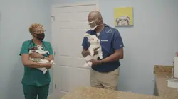 Critter Fixers : Vétos de choc