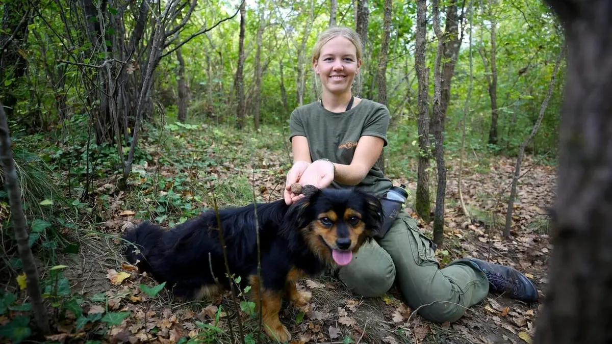 Croatie, l'autre pays de la truffe