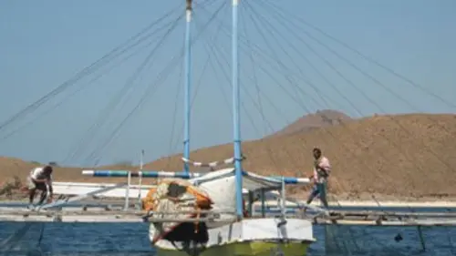 Croisière Ombak Putih : un voilier à la découverte des îles de la Sonde