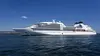 Croisière de rêve : dans les coulisses d'un paquebot XXL