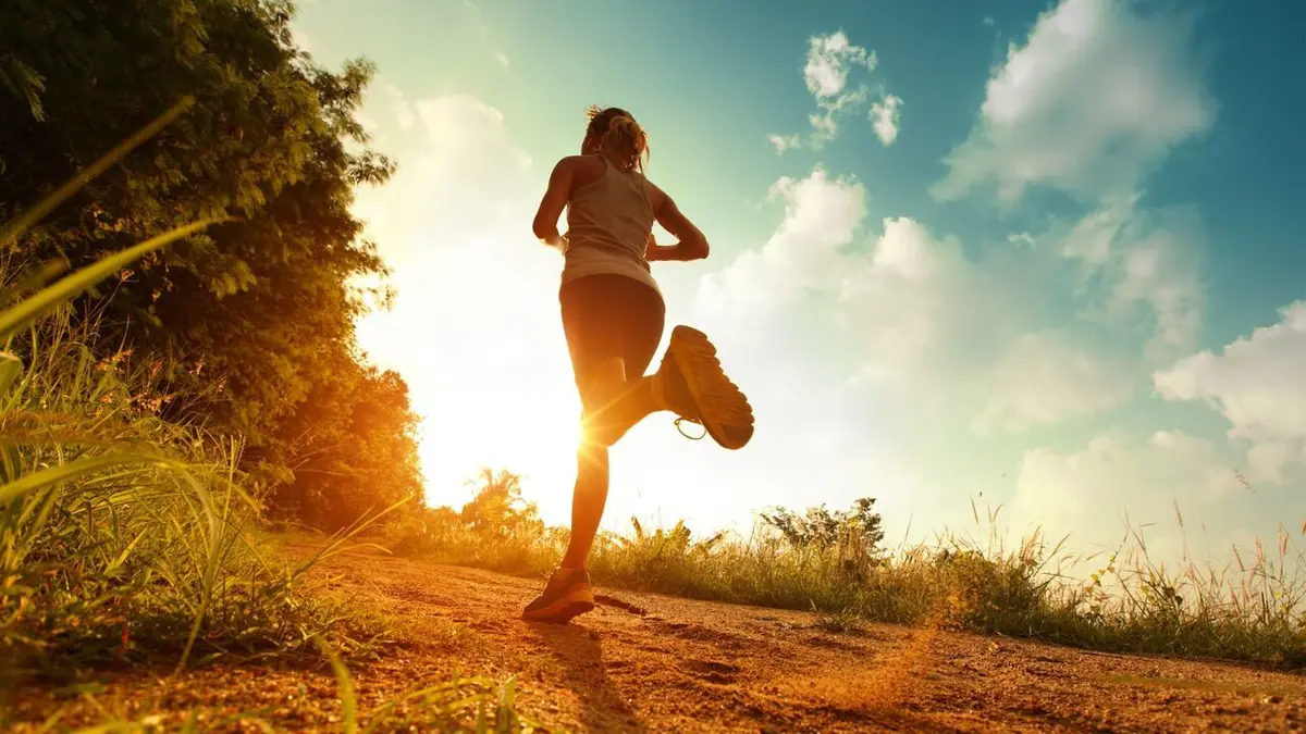 Cross-country 4e section