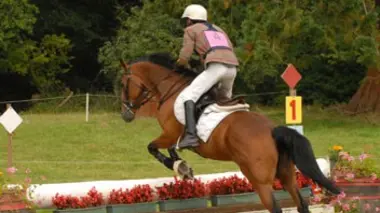 Cross country : le combat des seigneurs