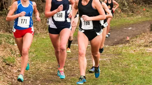 Crossing Corsica : The GR20 Trail Quest