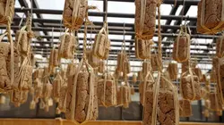 Cuisine coréenne, la diplomatie du kimchi