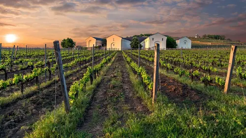 Cuisine royale Dans le vignoble de Tokaj