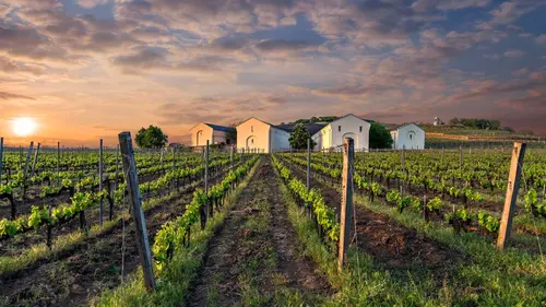 Épisodes de Cuisine royale