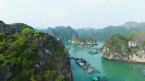 Casting Cuisine vietnamienne : tous les phôs sont au vert