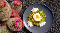 Cuisines des terroirs Lanzarote, Espagne