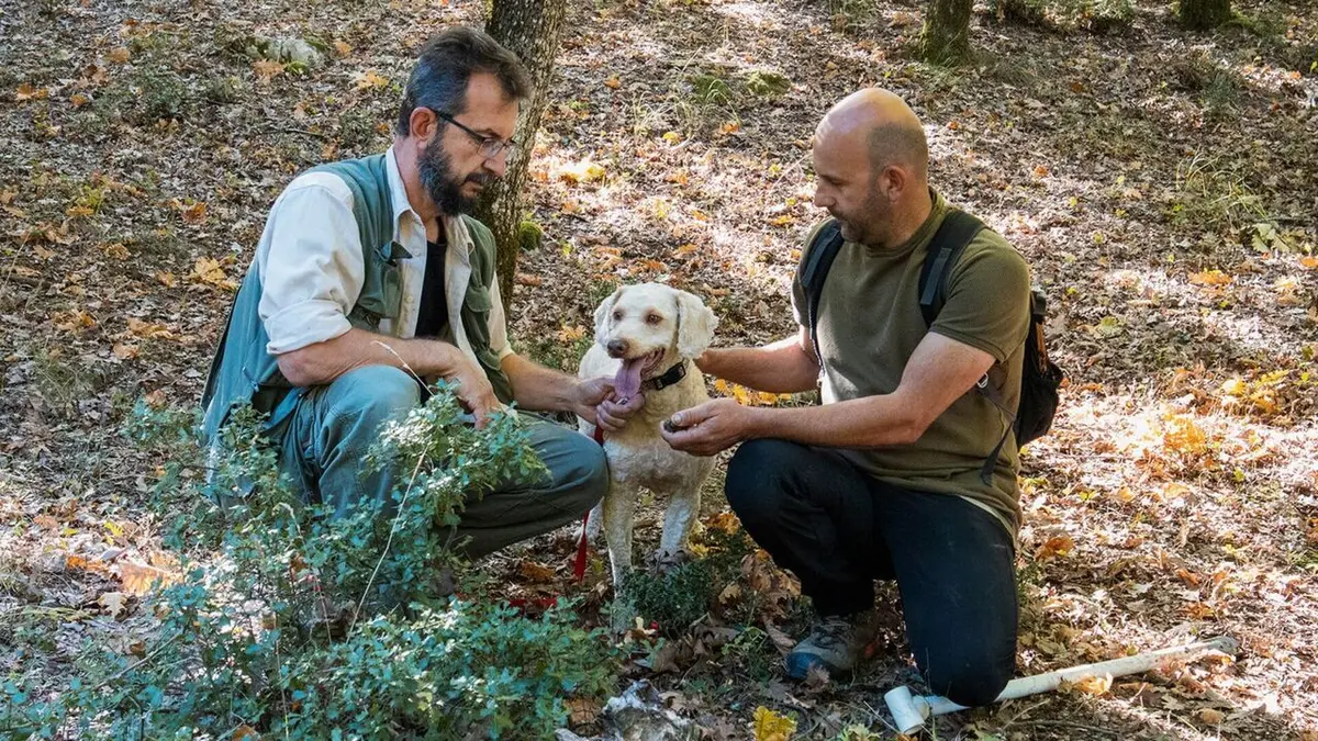 Cuisines des terroirs Les Météores, Grèce