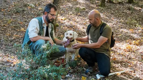 Cuisines des terroirs Les Météores, Grèce