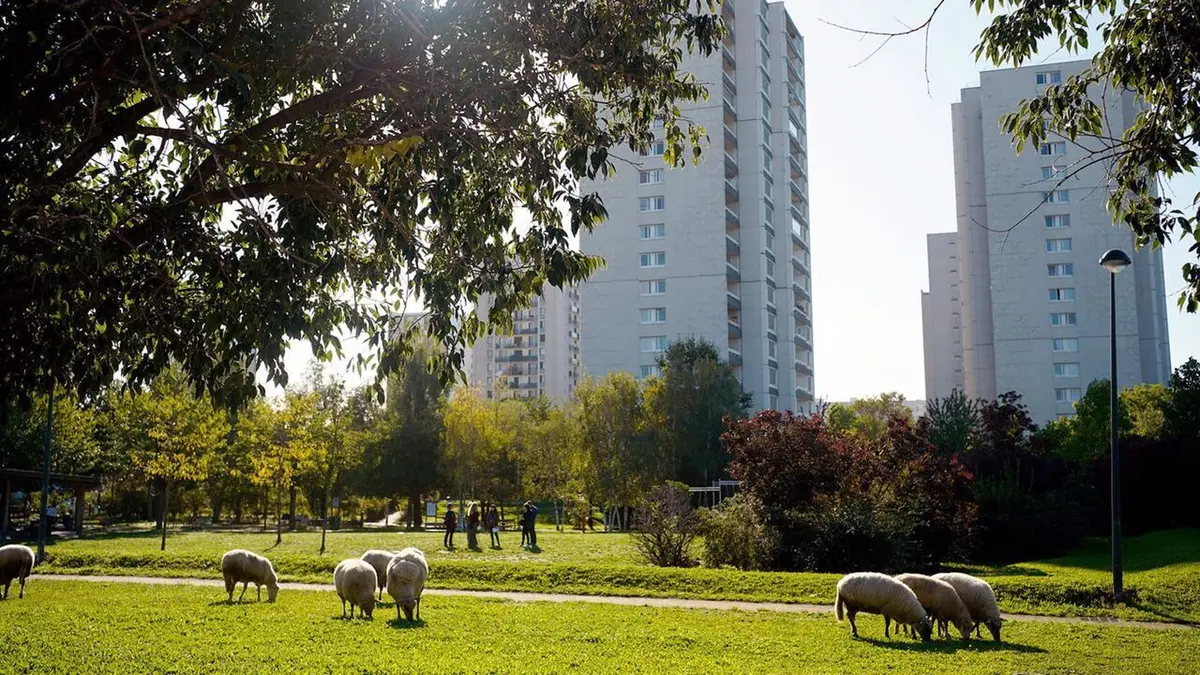 Cuisines des terroirs Paris