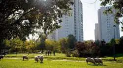 Cuisines des terroirs Paris