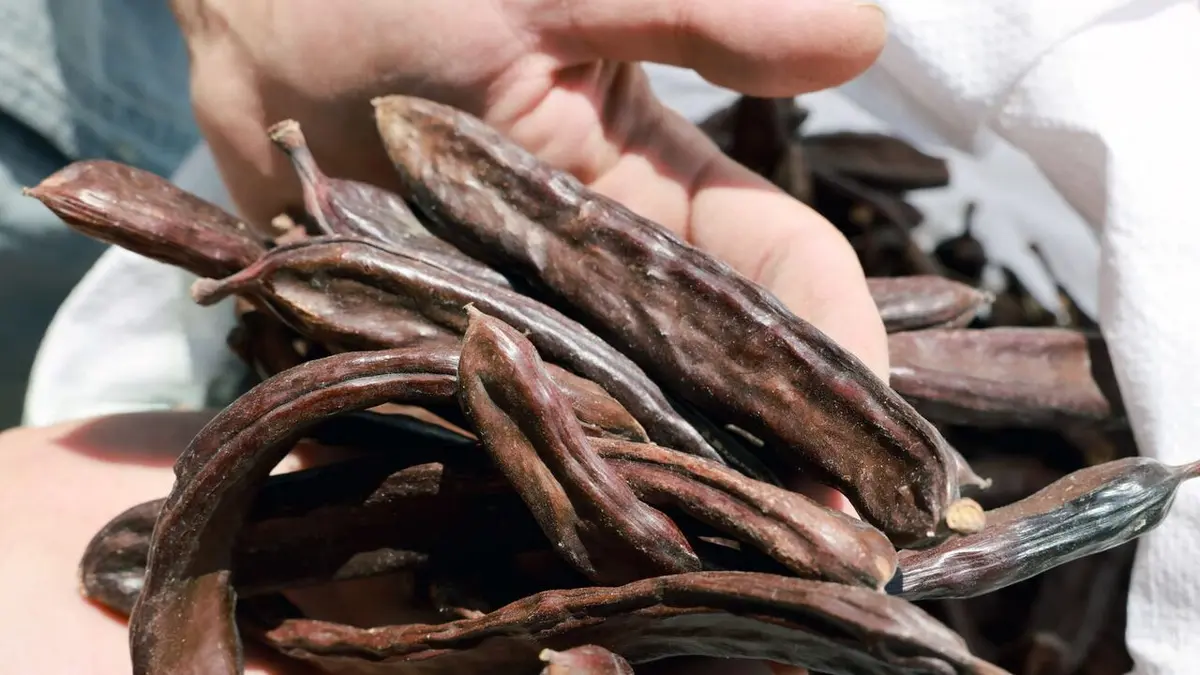 Cuisines des terroirs La Crête, Grèce