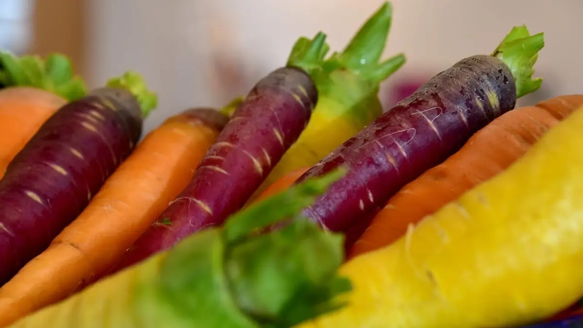Cuisines des terroirs Le canton d'Argovie, Suisse