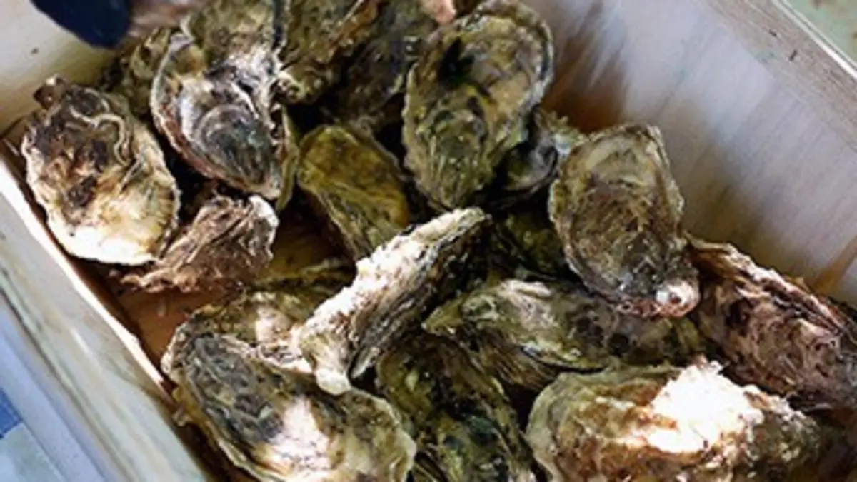 Cuisines des terroirs L'île de Ré