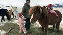 Cuisines des terroirs E235 L'Islande