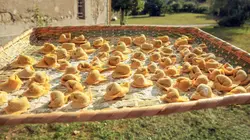 Cuisines des terroirs E254 Bologne, Italie