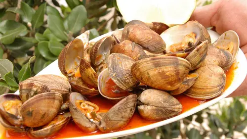 Cuisines des terroirs E199 Le lac Balaton