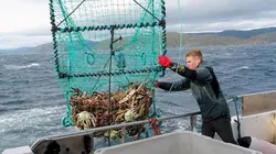Cuisines des terroirs Le Finnmark, Norvège