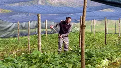 Cuisines des terroirs L'Essonne, France