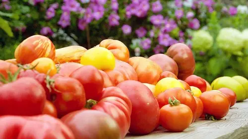 Cuisines des terroirs E186 Le Burgenland