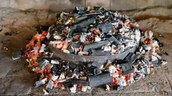 Cuisines des terroirs La côte Adriatique, Croatie