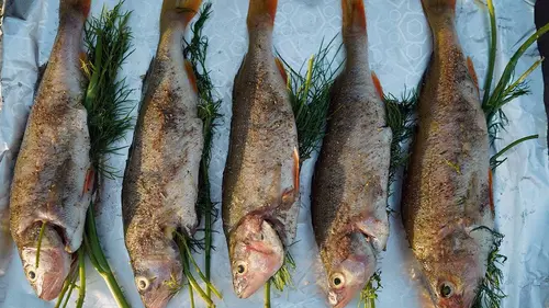 Cuisines des terroirs E262 La Cachoubie, Pologne