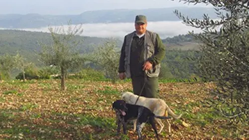 Cuisines des terroirs L'Istrie