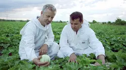 Cuisines des terroirs  Le Vaucluse, France