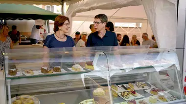 Entre l'Alsace et le Palatinat
