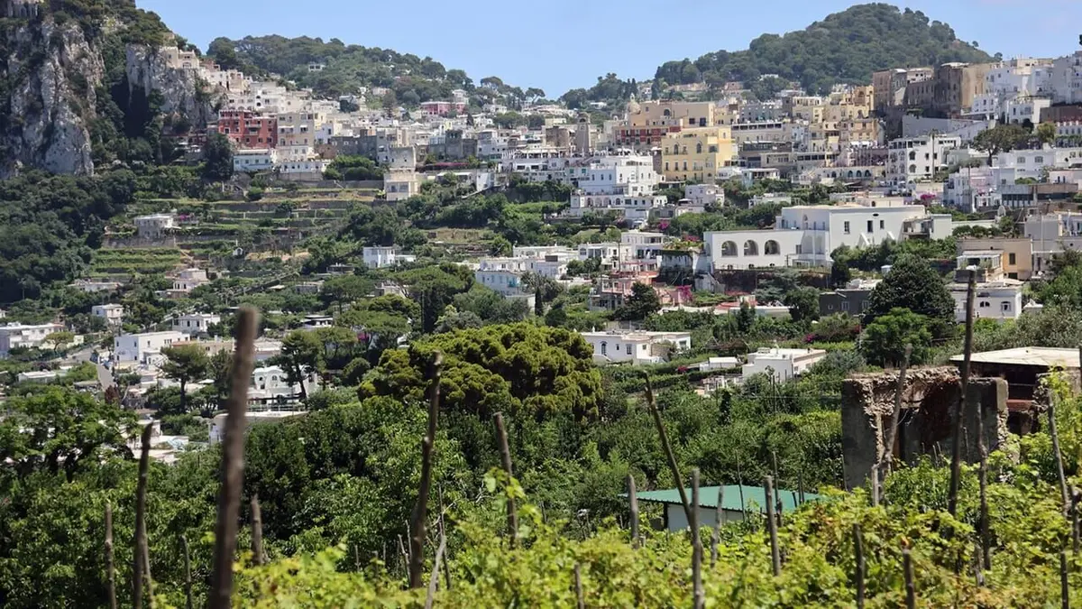 Cuisines des terroirs Capri, Italie