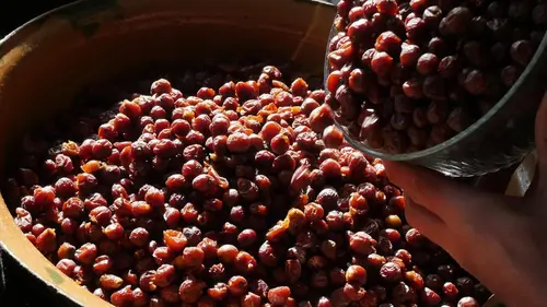 Cuisines des terroirs Le Wienerwald, Autriche