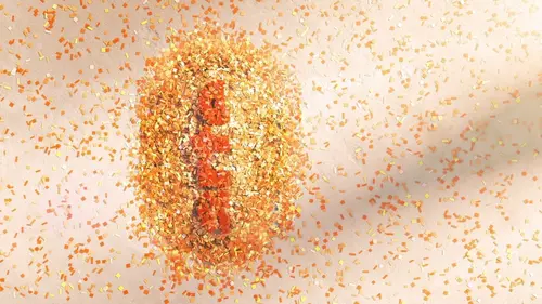 Cultures animales Apprendre des autres