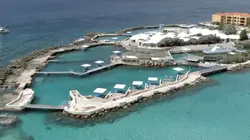 Curaçao, des dauphins thérapeutes