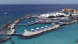 Curaçao, des dauphins thérapeutes