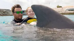 Curaçao, des dauphins thérapeutes