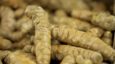 Curcuma, la poudre aux yeux ?