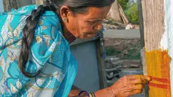 Curcuma, une épice en or